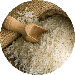 Local Distributor Of Basmati Rice